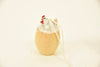 CHICKEN ON EGG POLY STANDING/HANGING WHITE 4.5X4.5X7.5 CM