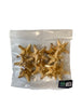 Knobby starfish natural 5-7cm 12pcs