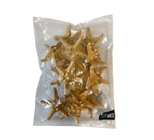 Knobby starfish natural 7-10cm 15pcs