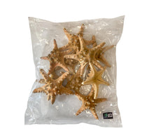 Knobby starfish natural 15-20cm 10pcs