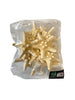 Knobby starfish bleached 5-7cm 12pcs