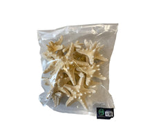 Knobby starfish bleached 7-10cm 15pcs