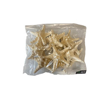 Knobby starfish bleached 10-15cm 12pcs