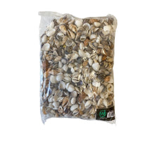 Shell mix ''Small'' 1KG