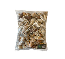 Strombus urceus 500gr