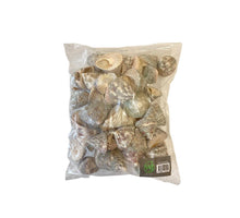 Trochus stellatus 500gr