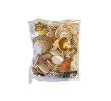 Shell mix ''Extra''  500gr
