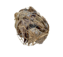 Placuna natural 1KG in net