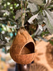 Kokosnoot vogelhuis D14 H18cm natural