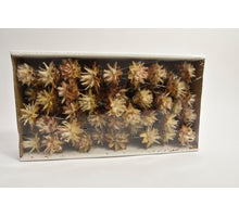 Plumosum 10cm steker naturel 55st