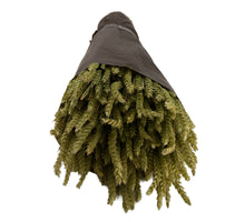 Bunch Triticum nature Natural (grootverpakking 5 normale bossen)