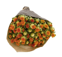 Bunch Carthamus nature Orange (grootverpakking 3 normale bossen)
