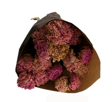 Bunch peony nature Light pink (grootverpakking 3 normale bossen)