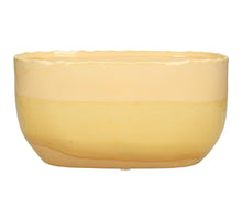 Planter Fine Earthenware Yellow 26x14x13.5cm