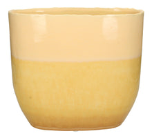 Planter Fine Earthenware Yellow 27x14x24.5cm