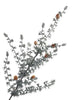 Ming Pine Spray 81cm Green/White