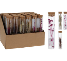 REAGEERBUIS VAN GLAS MET DROOGBLOEM 3 ASSORTIE H15 D3CM