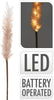 TAK GROVE PLUIM MET LED 118CM BEIGE/OFF WHITE