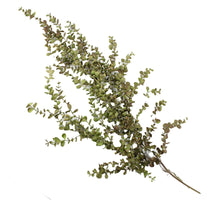 Kunsttak eucalyptus hangend groen 95cm