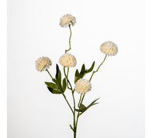 Gompy spray x5 L51cm white