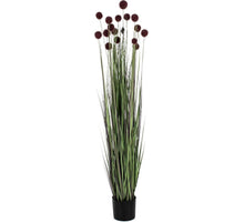 Kunstplant gras pompom 150cm