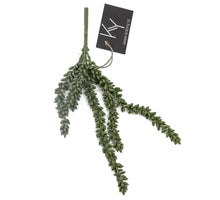 Erwten plant groen 10x2,5x33cm